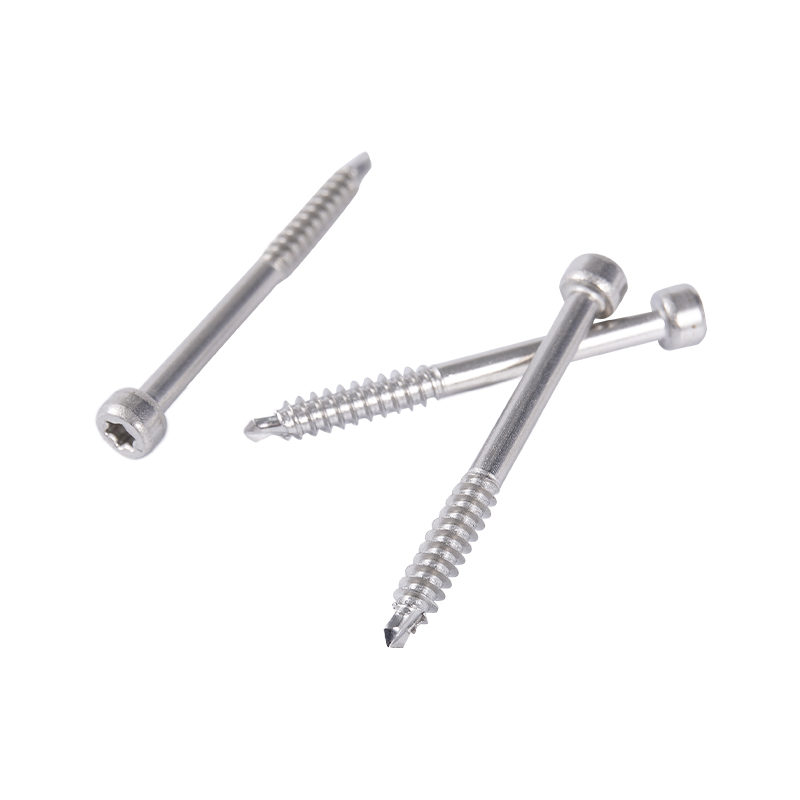 Contarsunk Head/Double Countersunk Head/rialzato conta